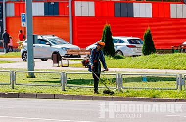Як у Наваполацку арганізаваны пакос травы, і хто можа да яго далучыцца