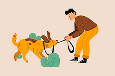 Выгул сабак: што трэба ведаць?